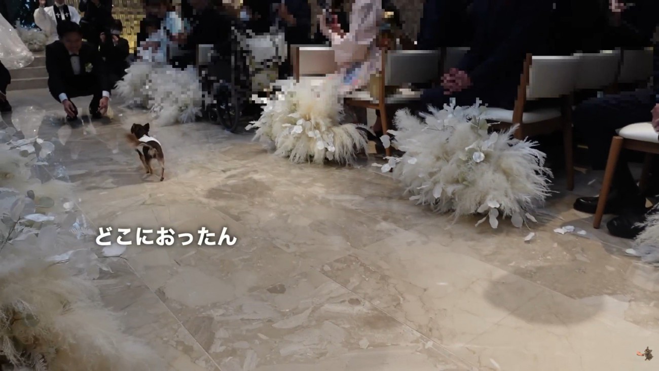 小走りでパパさんのもとへ♪