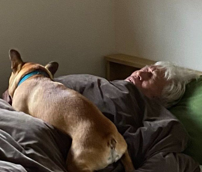 犯人はボンスケちゃん！