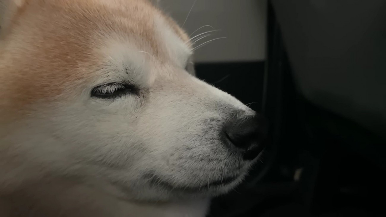 「楽しかったなあ…」