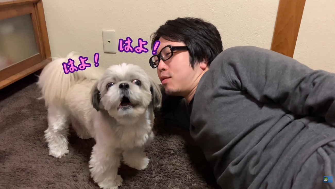 みかんを食べたいてんぽさん5