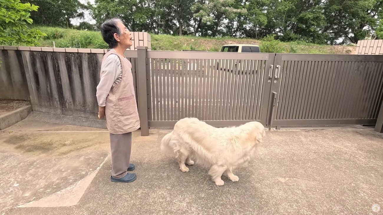 小学生の見守りをすることも