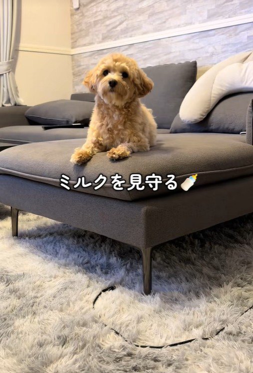 たわし君のナイトルーティン6