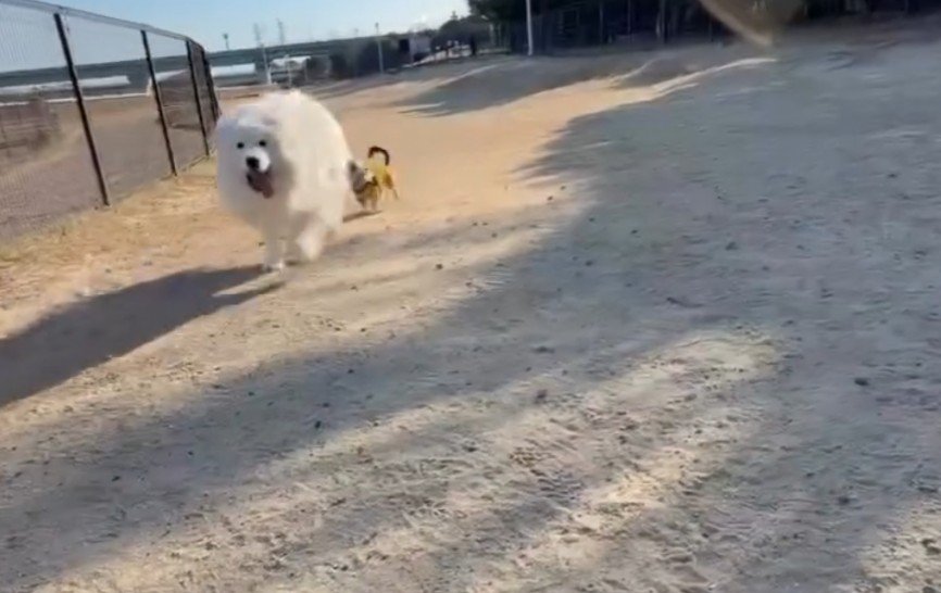 パパとの温度差にクスッ