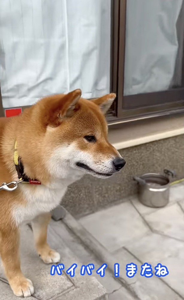 「絶対また来て…」