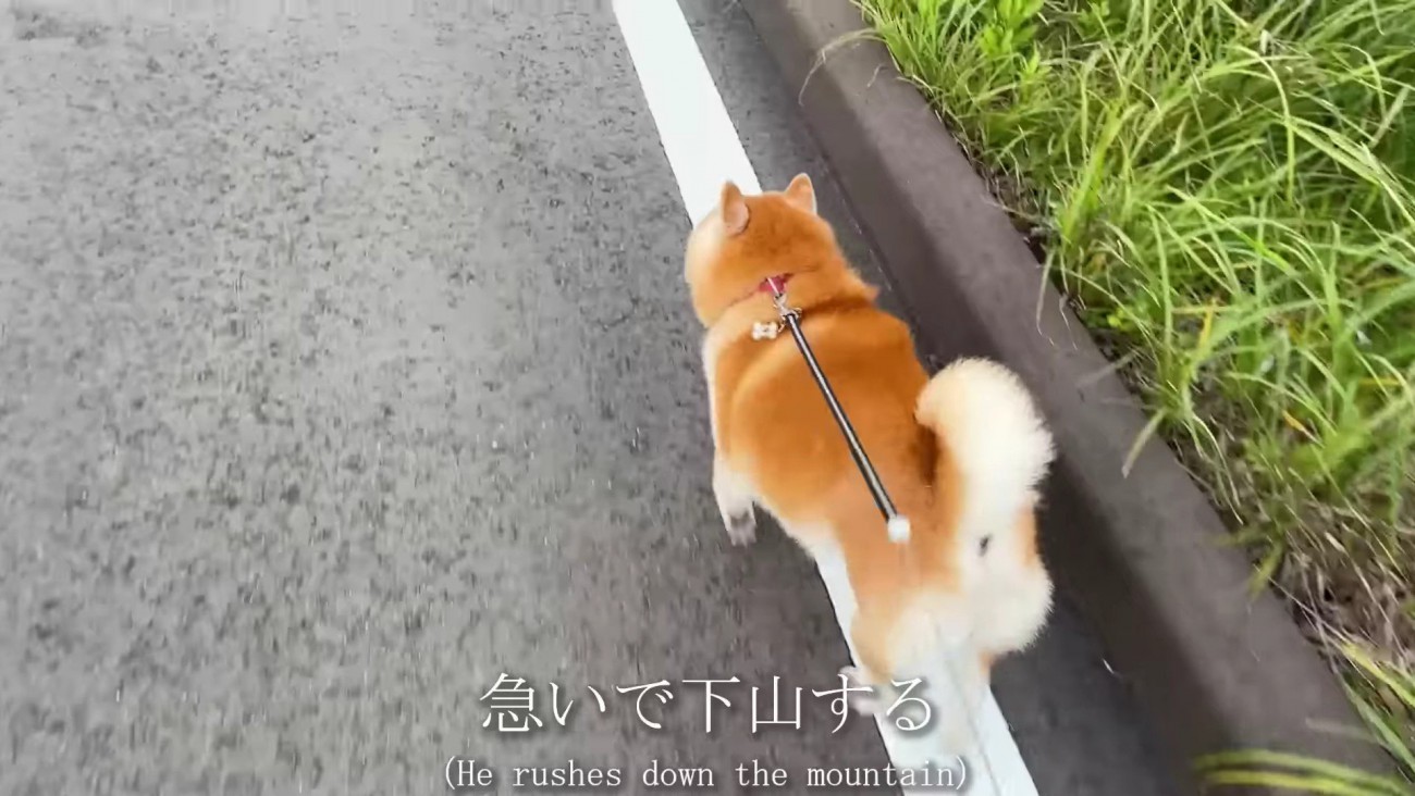 なにかを察して急いで下山