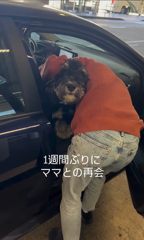 フランくんとママさんの再会2