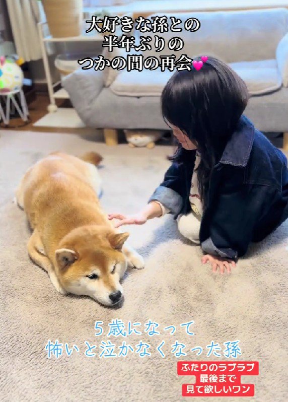 あたたかな時間の流れ