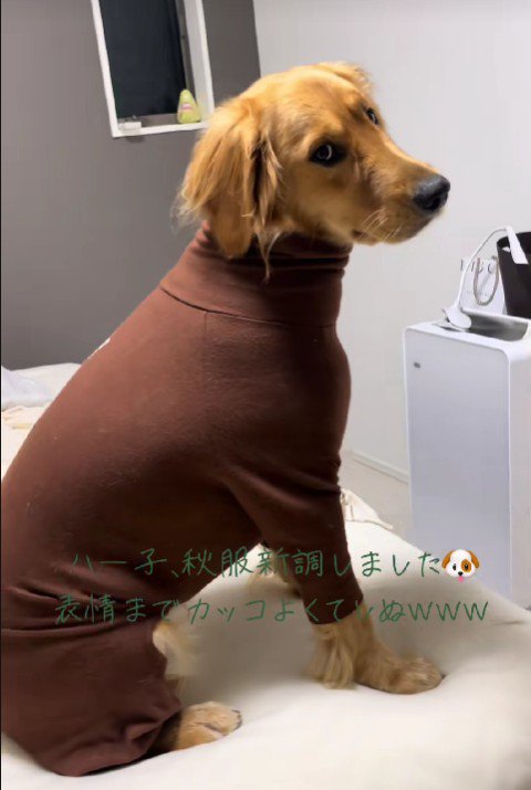 カッコイイ系だから…