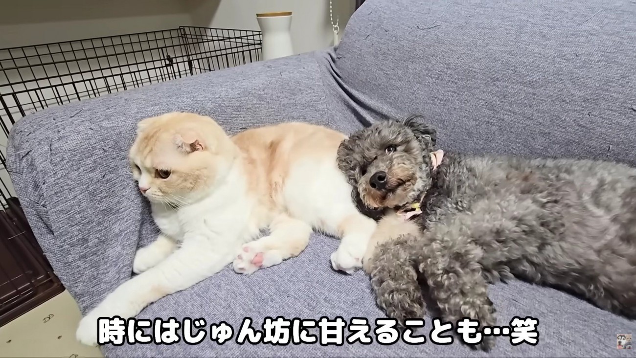 とっても仲良しな関係に…♡