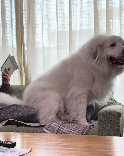 嬉しくてにんまり♪