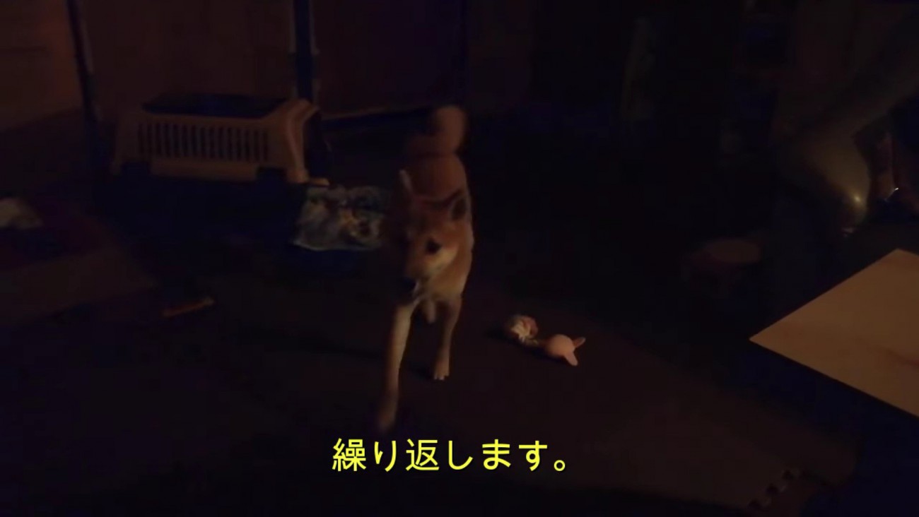 近づく様子を見せたそう