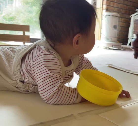 わんこ先生に習ったよ♪
