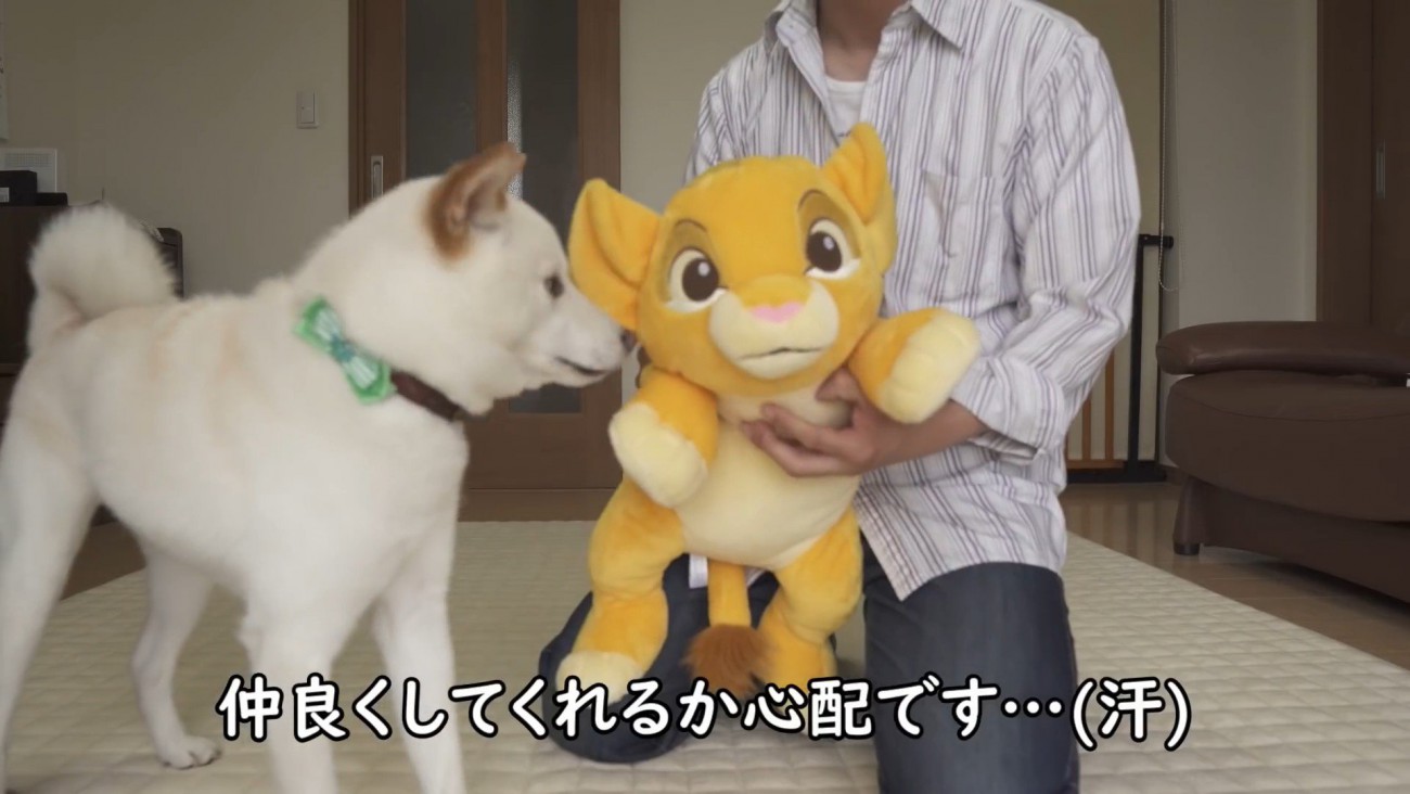 ぬいぐるみをあげたら…