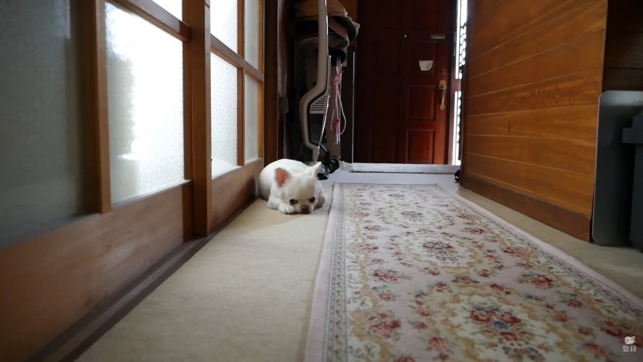 健気な姿が愛おしい♡