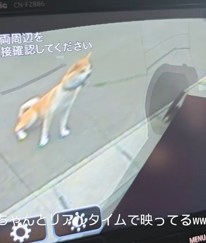 シュールな光景に爆笑♪