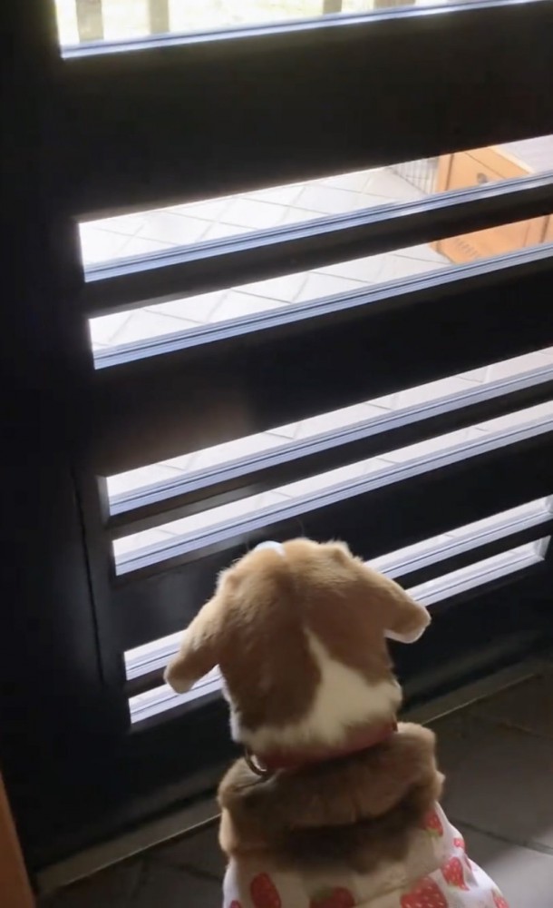 会いたい気持ちが滲み出てます