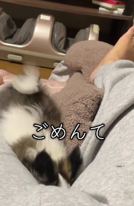 一心不乱に掘り続けていた