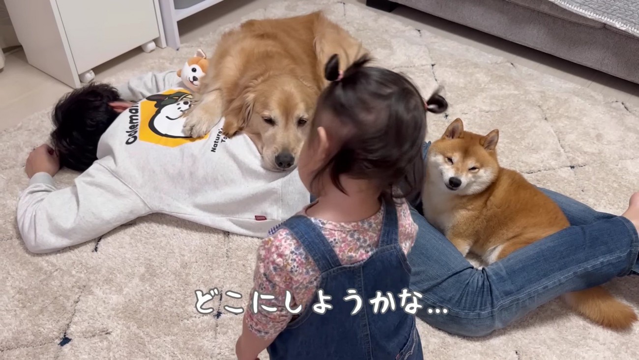 歩き疲れてぐったり