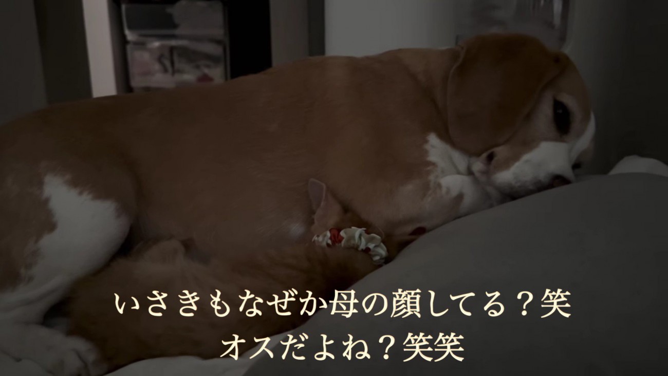 まるで親子みたい