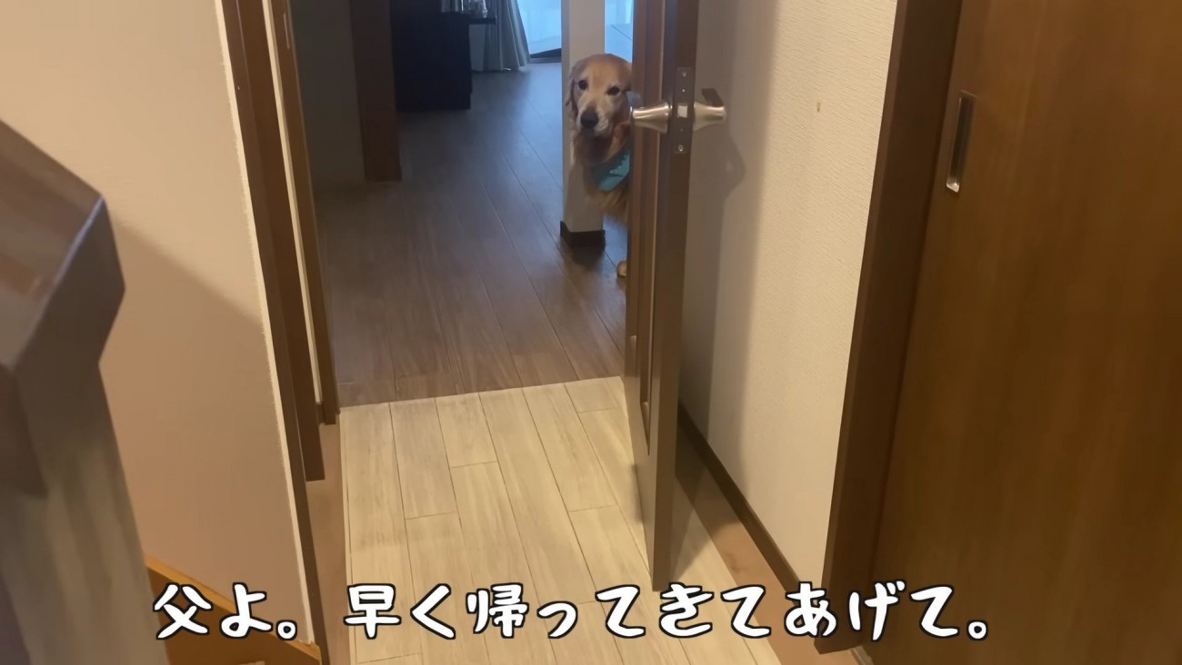 悲しみに暮れるベンツくん
