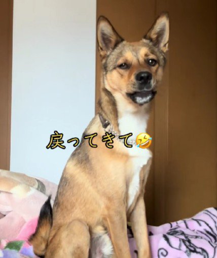 毎回の恒例行事