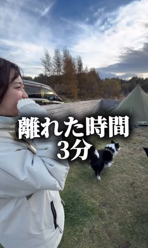 飼い主と戻る中型犬