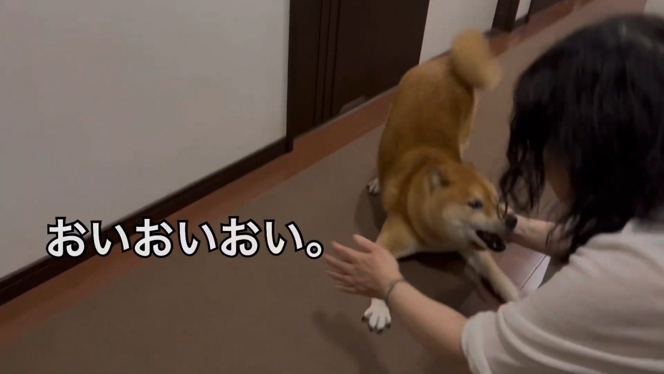 大はしゃぎ♪