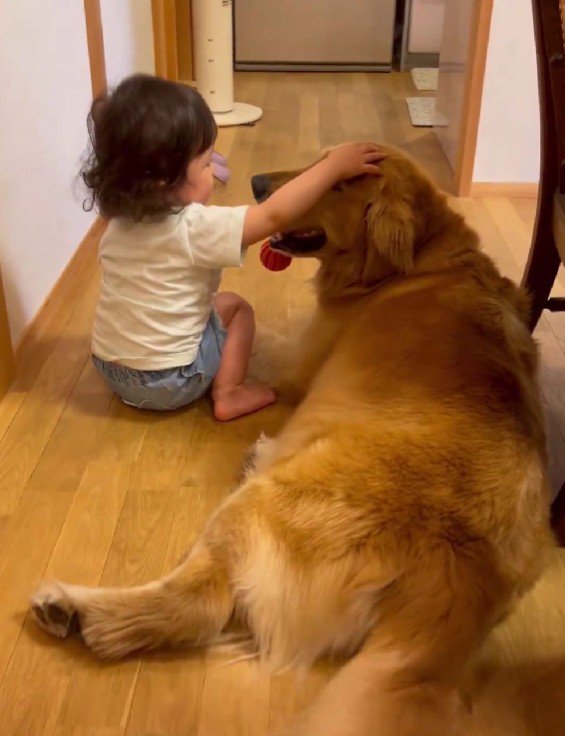 女の子とパトラちゃん