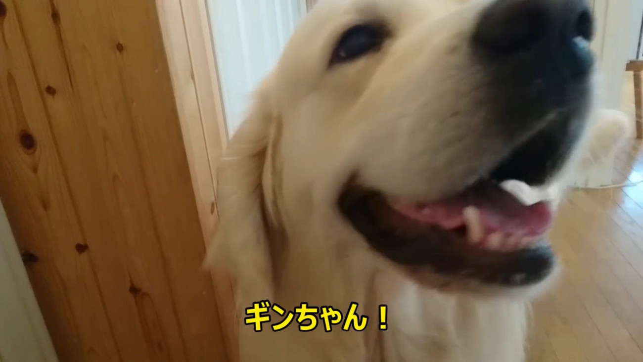ニッコリ♪