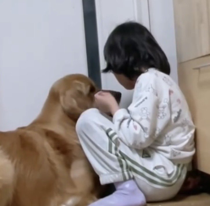 顔を寄せる犬と女の子