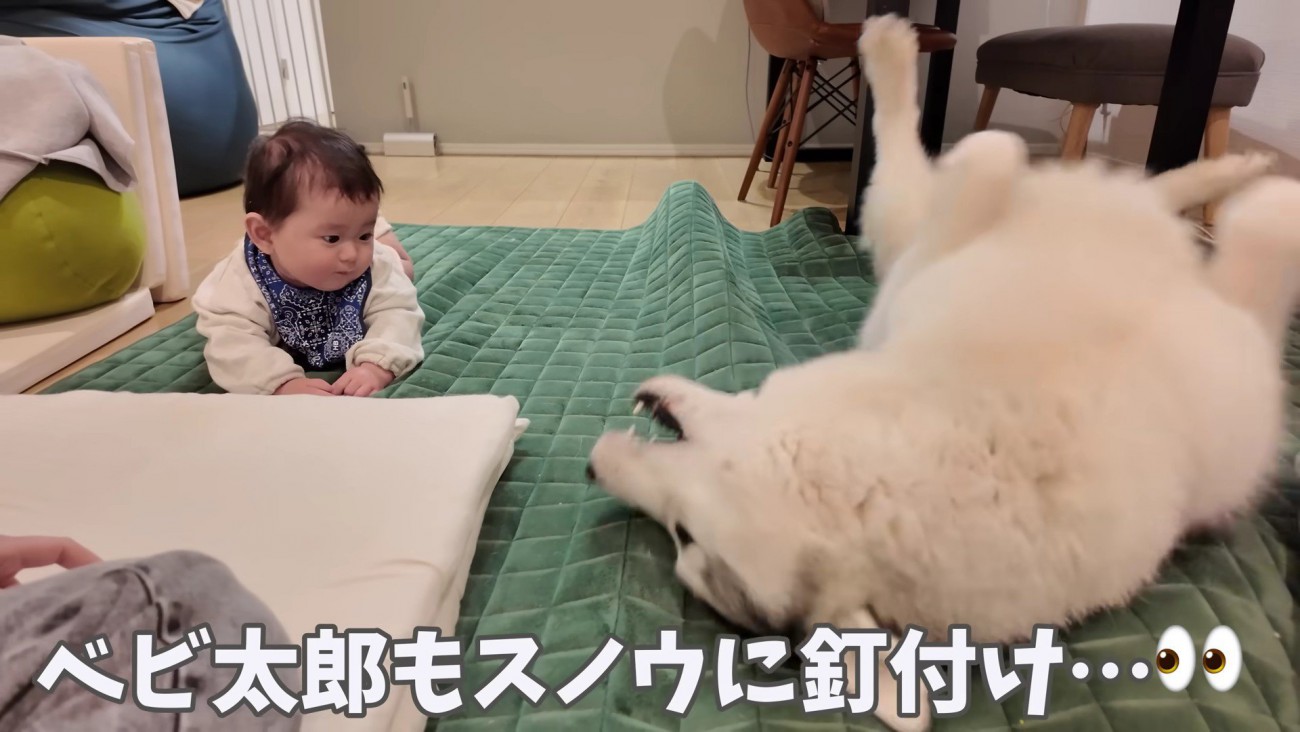 赤ちゃんもメロメロに