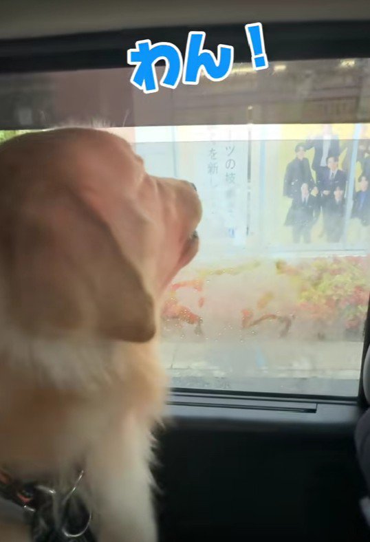 「わん！わん！」