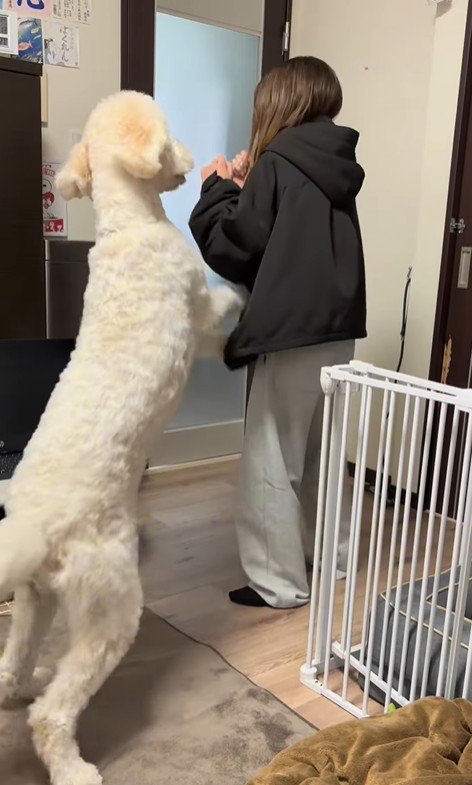 ソラちゃんの熱烈歓迎7