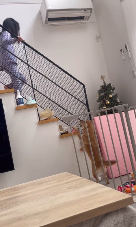 らむねちゃんとお姉ちゃんの再会6