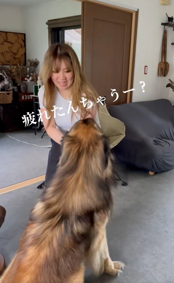 レオンベルガーに声をかけるお姉さん