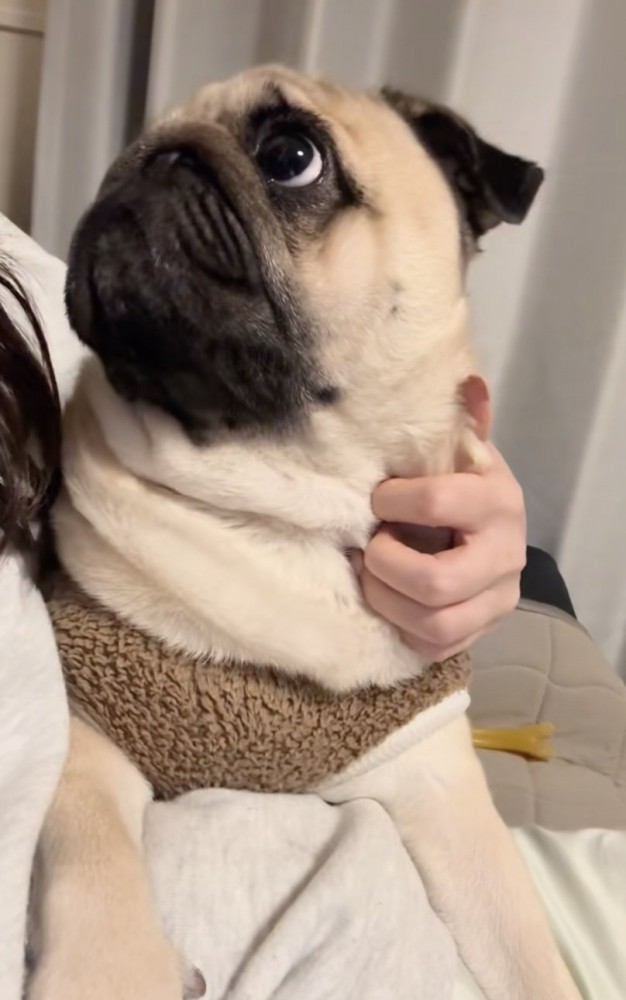 「しかも3人で！」