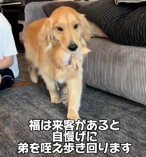 「うちの子可愛いでしょ？」