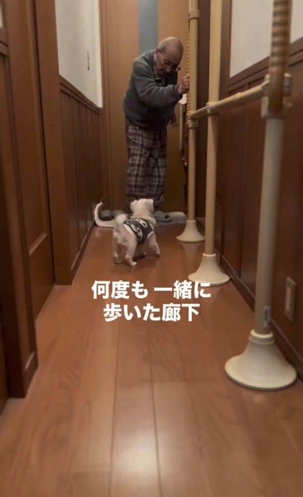 廊下で人に寄り添う犬