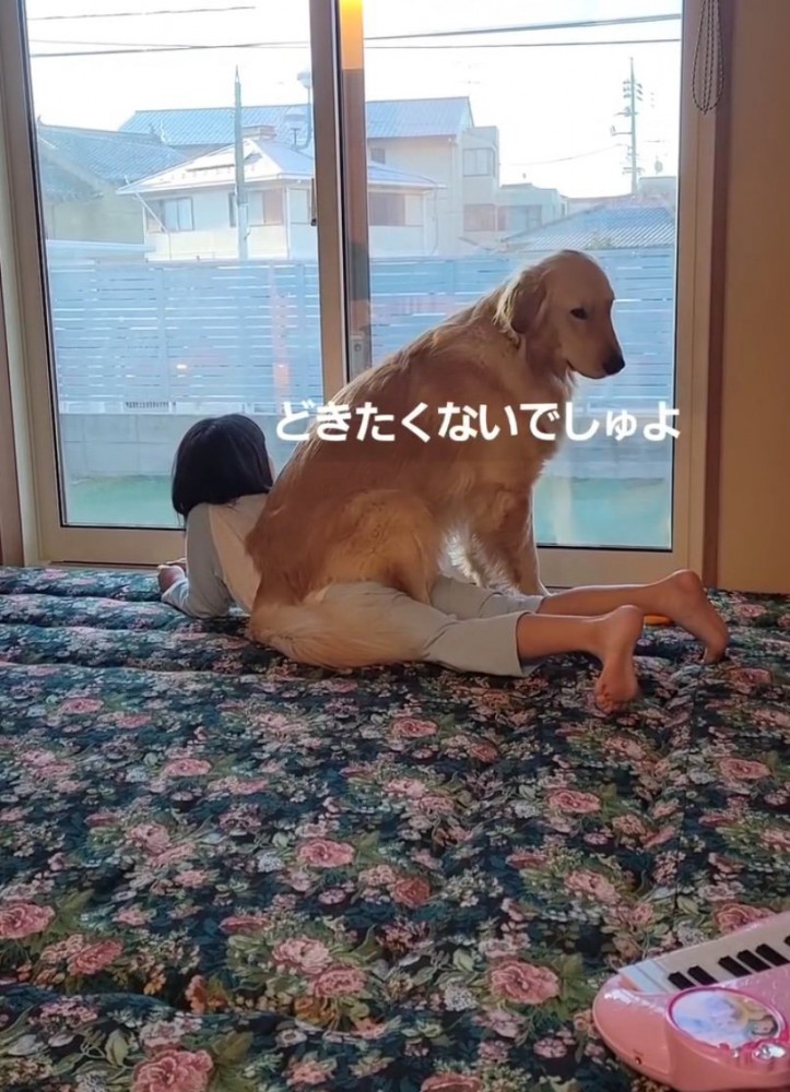 下を向く大型犬