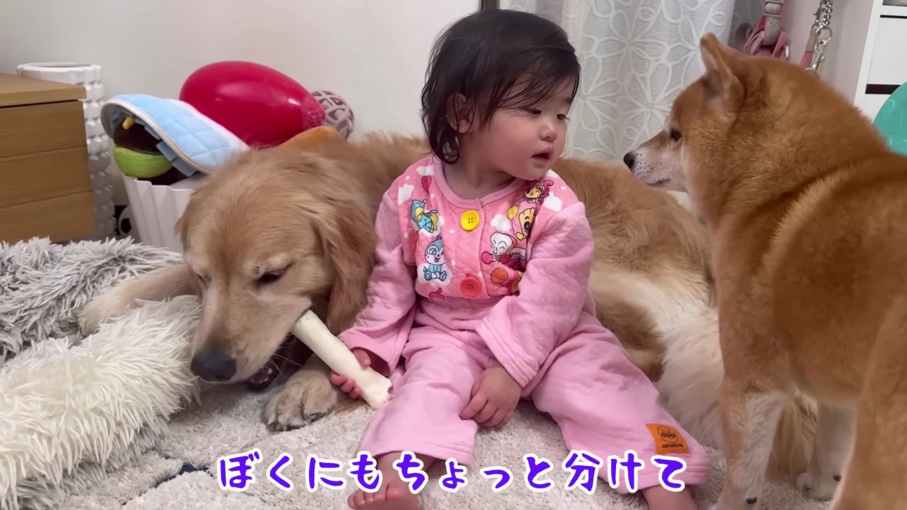 ガムのおかわりが欲しい…