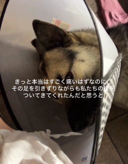 頑張って治療中！！