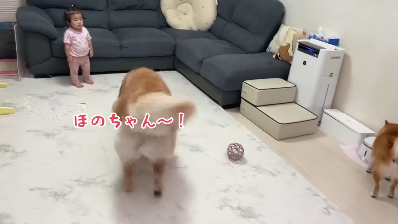 「帰ってきたよ！」