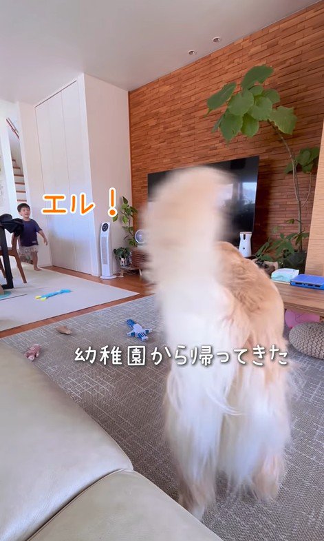 帰宅した男の子とエルくん