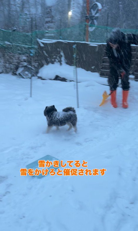 龍之介くんの雪遊び3