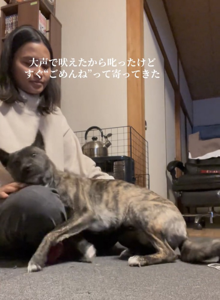甘えるように体を寄せる犬