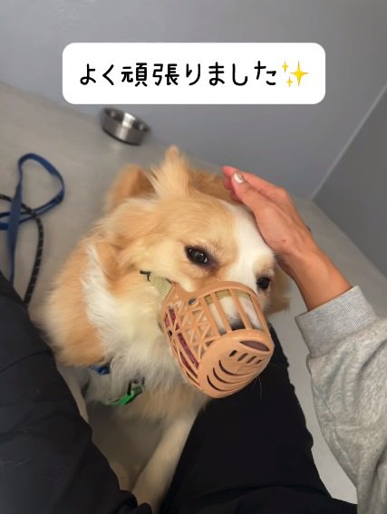 頑張ったそらくん