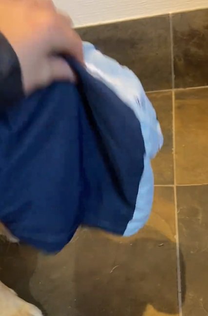 フードをとる飼い主さん