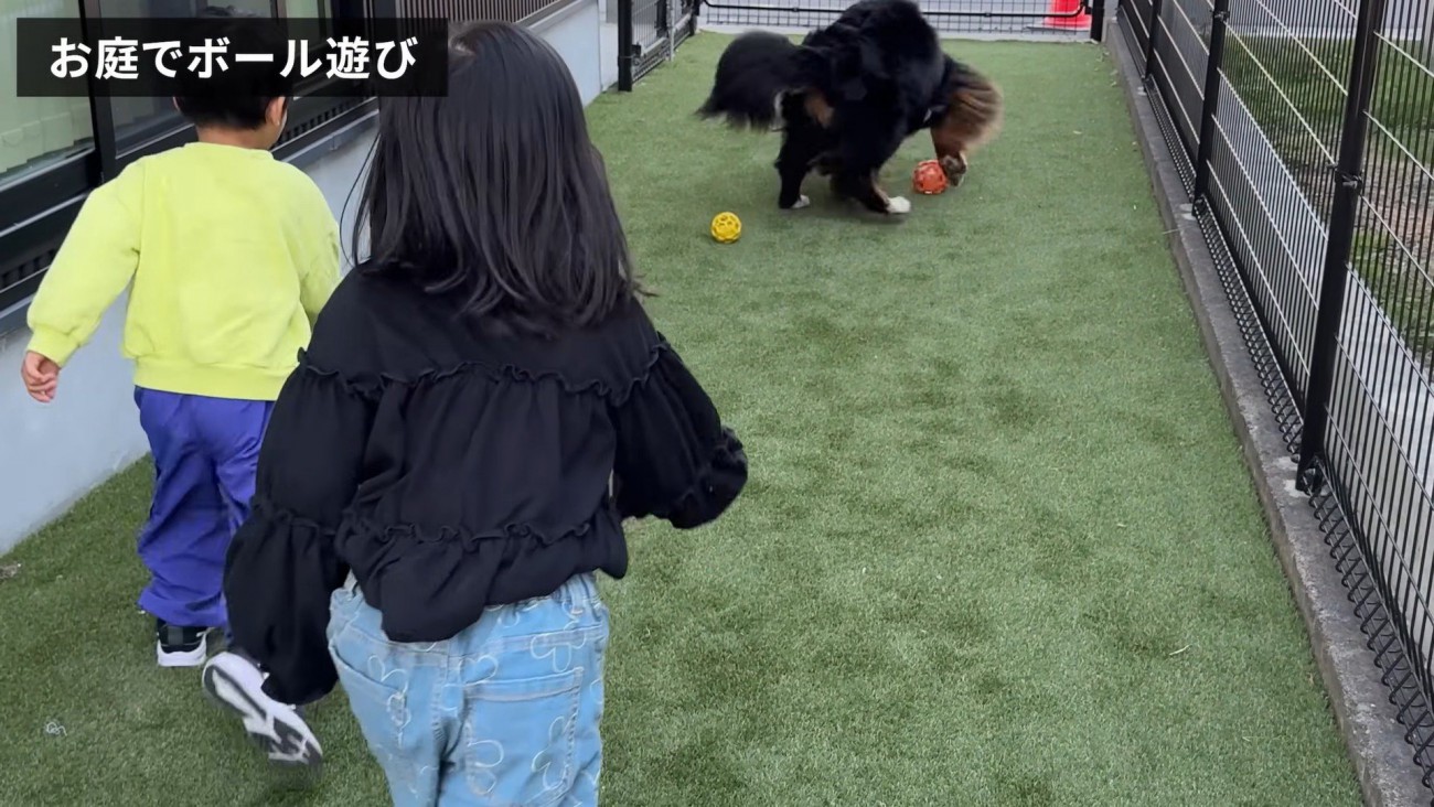 お庭でボール遊び開始