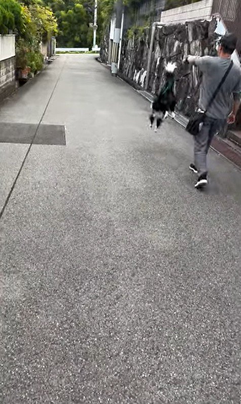 おじさんとお散歩中のルナちゃん5