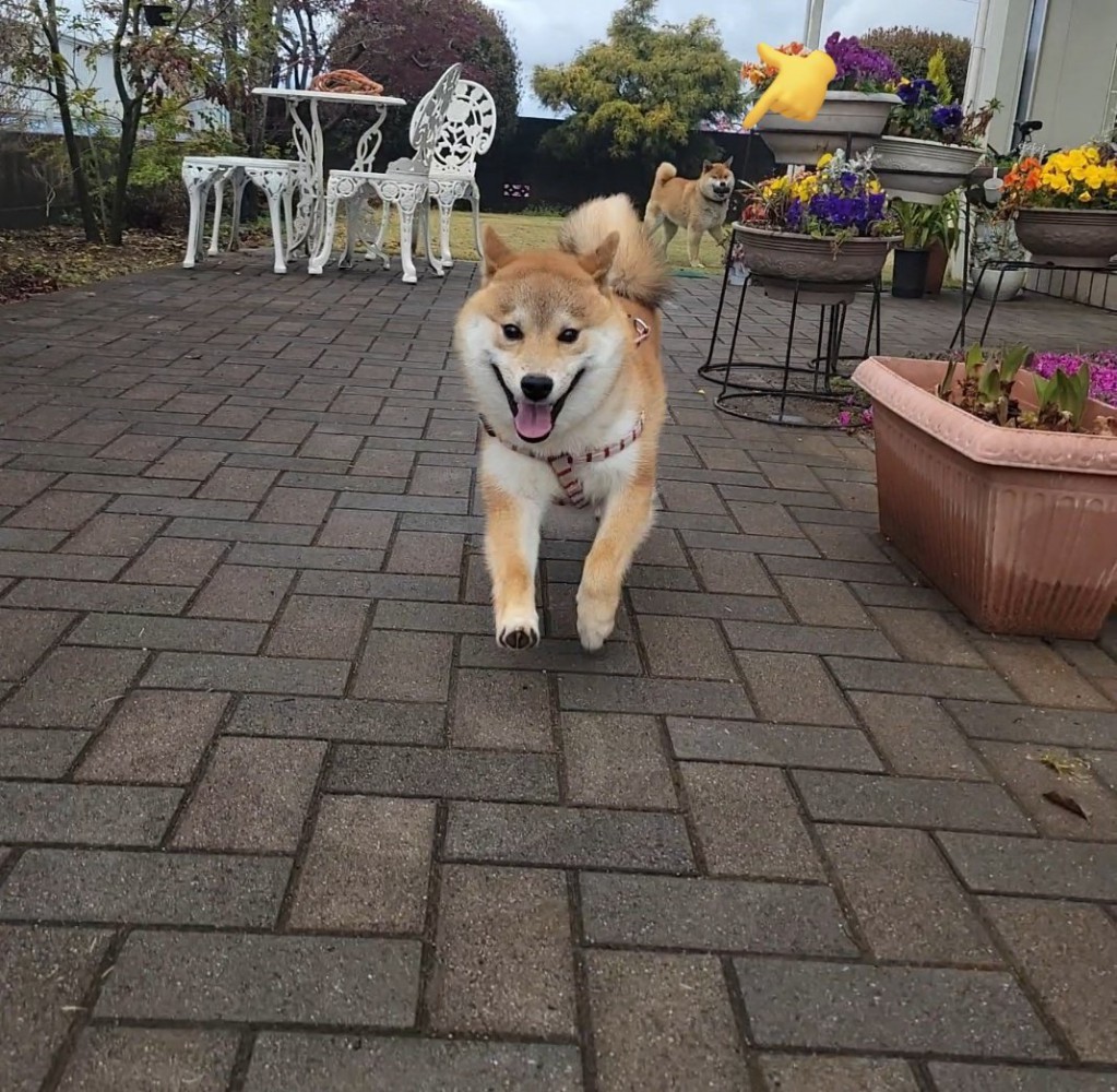 元気
